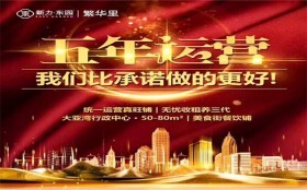 新力開(kāi)發(fā)商怎么樣,襮新力繁華里